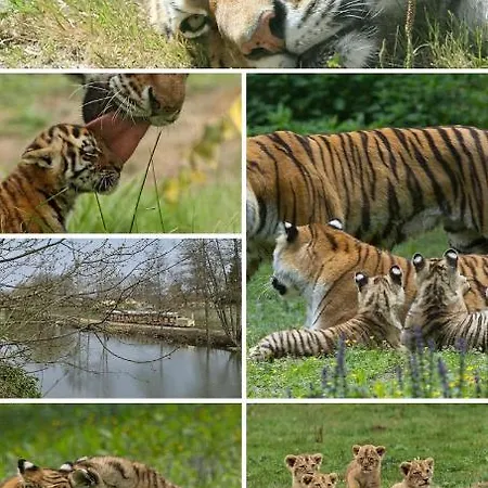 Villa Harmonia Maison De Caractere Proche Provins Gouaix