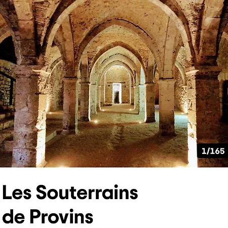 Harmonia Maison De Caractere Proche Provins Gouaix